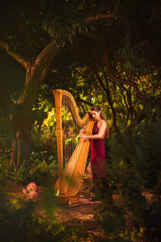 San Francisco Harpist