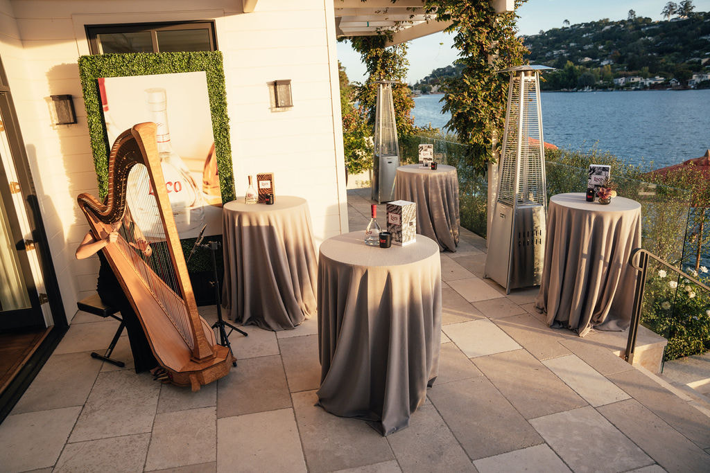 Harpist for cocktail reception in Marin 