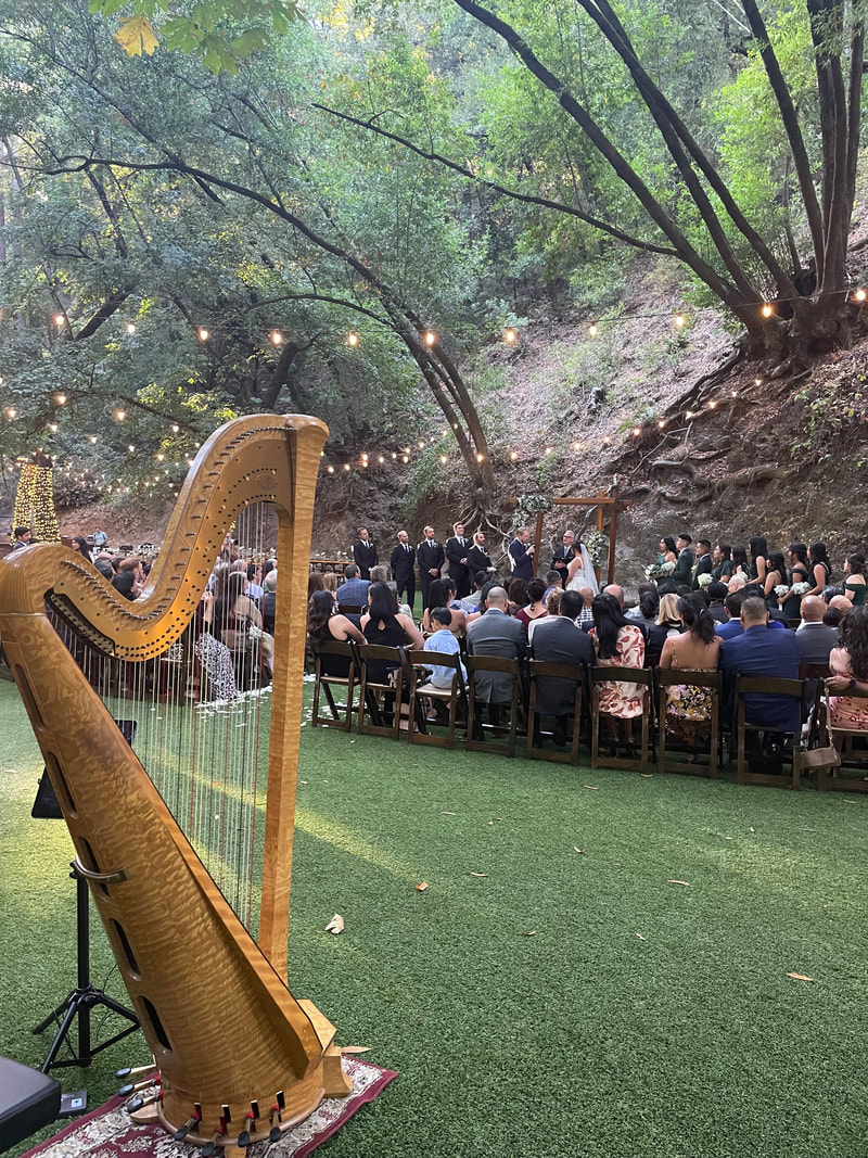 Saratoga Harpist